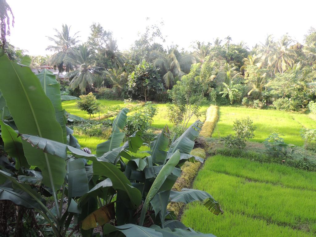 Arana Bungalow Galle Luaran gambar